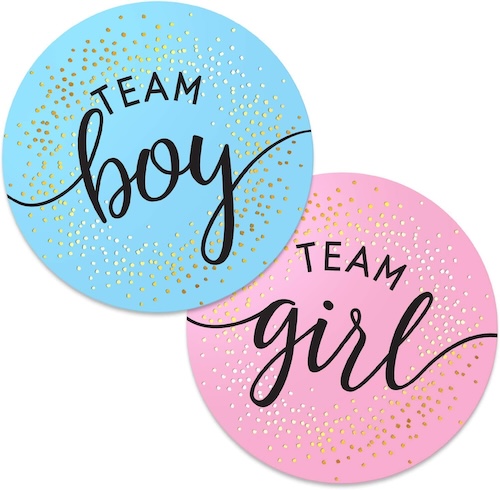 Gender Reveal Party Stickers Circle